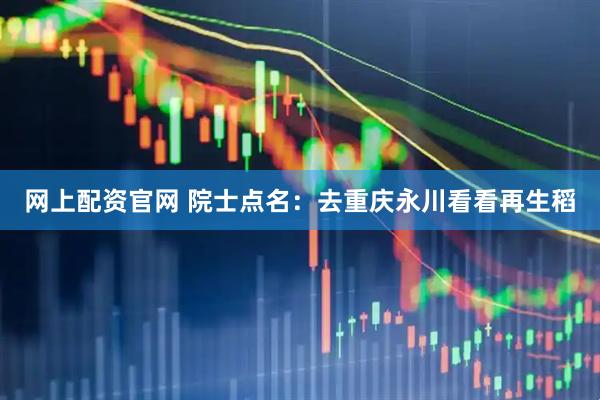 网上配资官网 院士点名：去重庆永川看看再生稻