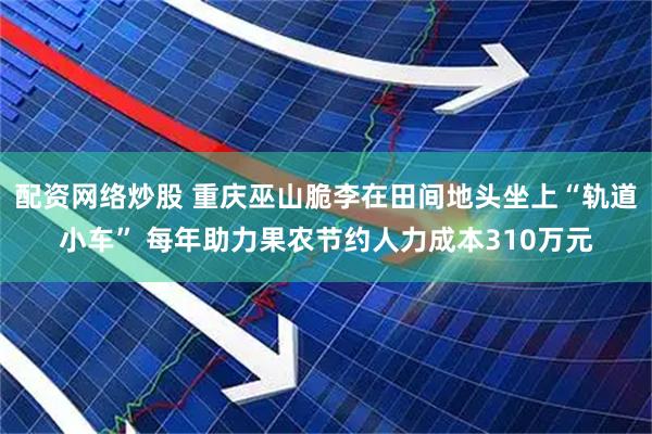 配资网络炒股 重庆巫山脆李在田间地头坐上“轨道小车” 每年助力果农节约人力成本310万元